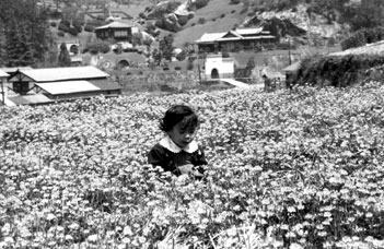 The author, on a visit to Hiroshima at the age of three.